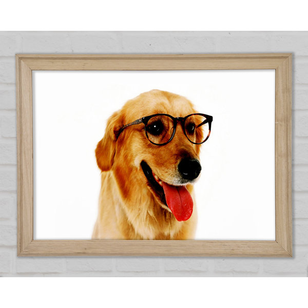 Ebern Designs Golden Retriever Nerd Einzelner Bilderrahmen